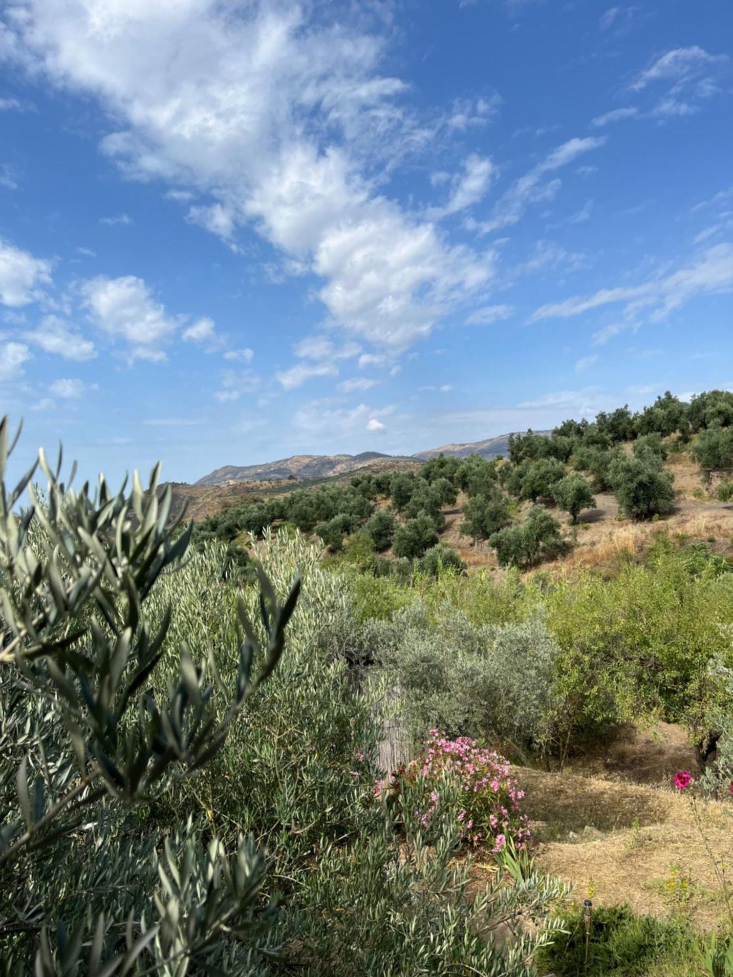 Cortijo Alhijra Big Yourte Lanjaron Exterior photo